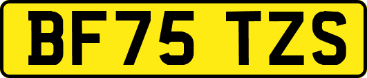 BF75TZS