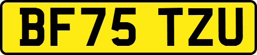 BF75TZU