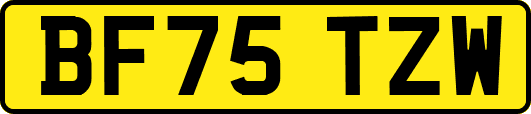 BF75TZW