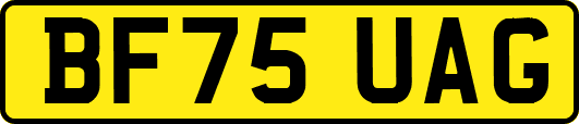BF75UAG