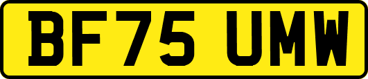 BF75UMW