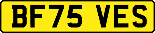 BF75VES
