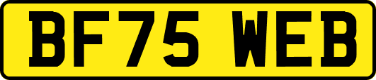 BF75WEB