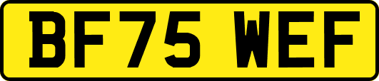 BF75WEF