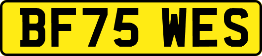 BF75WES