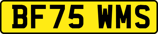 BF75WMS