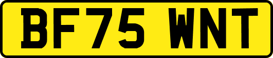 BF75WNT