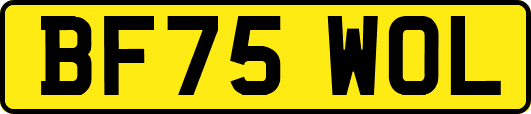 BF75WOL