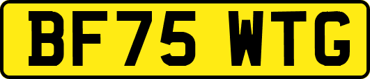 BF75WTG