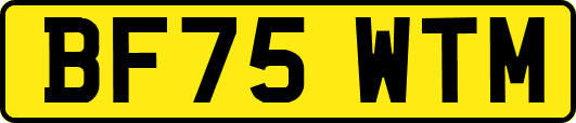 BF75WTM