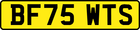 BF75WTS