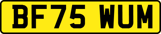 BF75WUM