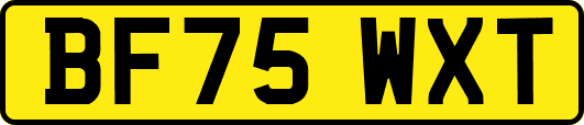 BF75WXT