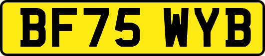 BF75WYB