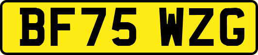 BF75WZG