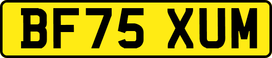 BF75XUM