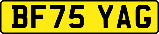 BF75YAG
