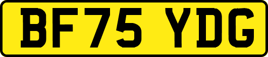 BF75YDG