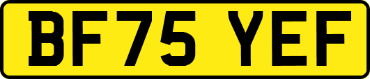 BF75YEF