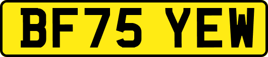 BF75YEW