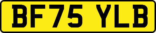 BF75YLB