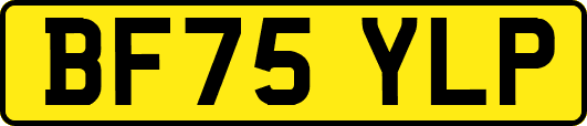 BF75YLP