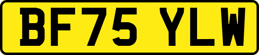 BF75YLW