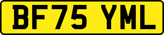 BF75YML