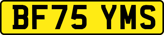 BF75YMS