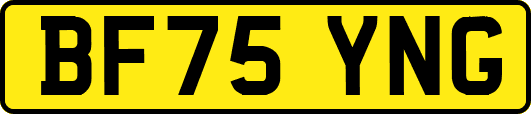 BF75YNG
