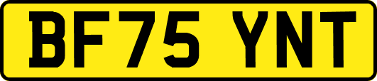 BF75YNT