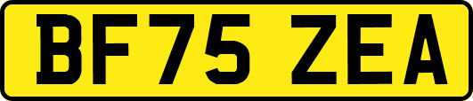 BF75ZEA