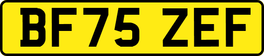 BF75ZEF