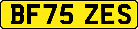 BF75ZES