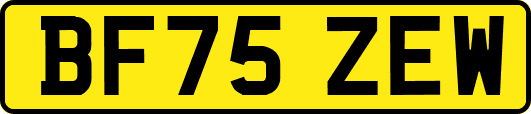 BF75ZEW