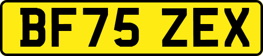 BF75ZEX
