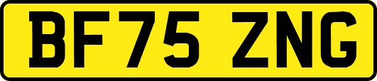 BF75ZNG