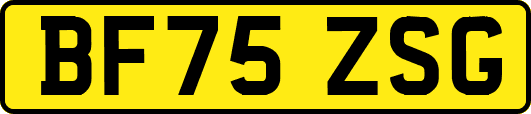 BF75ZSG