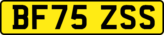 BF75ZSS