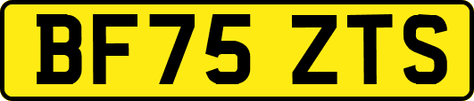 BF75ZTS