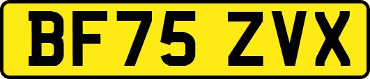 BF75ZVX