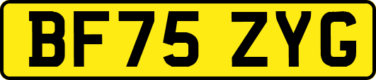 BF75ZYG