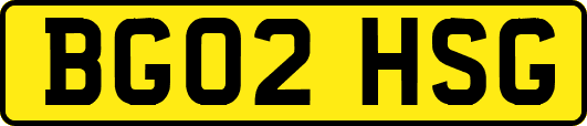 BG02HSG