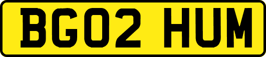 BG02HUM
