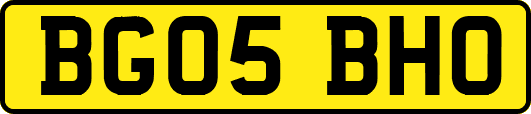 BG05BHO