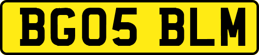 BG05BLM
