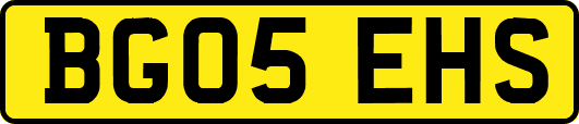 BG05EHS