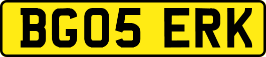 BG05ERK