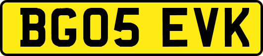 BG05EVK
