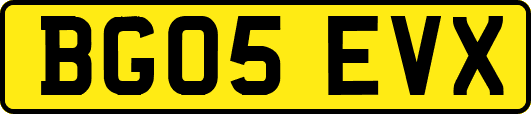 BG05EVX